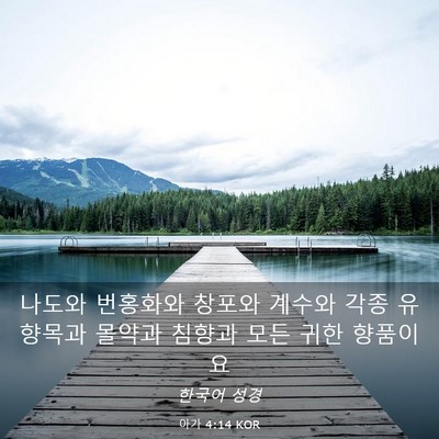 Picture 03 - 아가 4:14 KOR - 나도와 번홍화와 창포와 계수와 각종 - Bible Verse Picture
