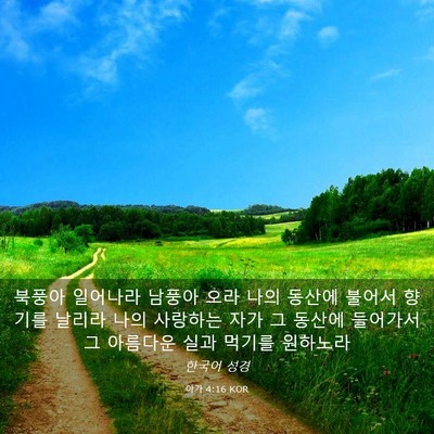 Picture 03 - 아가 4:16 KOR - 북풍아 일어나라 남풍아 오라 나의 - Bible Verse Picture