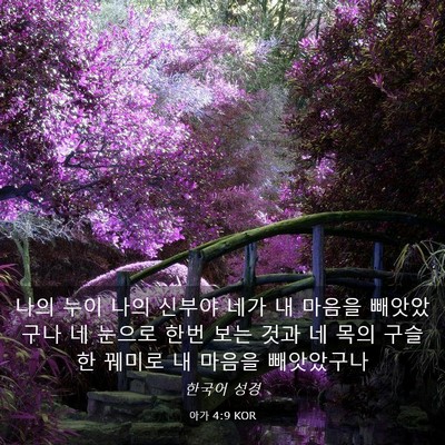 Picture 03 - 아가 4:9 KOR - 나의 누이 나의 신부야 네가 내 - Bible Verse Picture