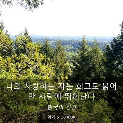 Picture 03 - 아가 5:10 KOR - 나의 사랑하는 자는 희고도 붉어 만 - Bible Verse Picture