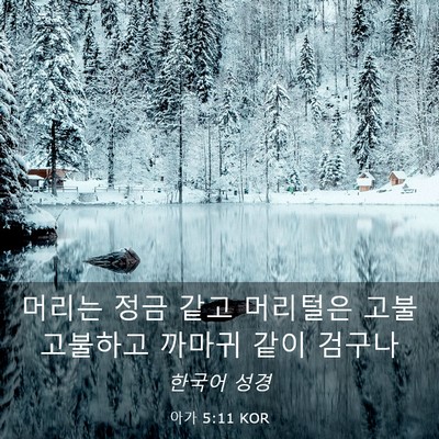 Picture 03 - 아가 5:11 KOR - 머리는 정금 같고 머리털은 - Bible Verse Picture