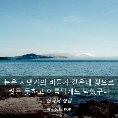 Picture 03 - 아가 5:12 KOR - 눈은 시냇가의 비둘기 같은데 젖으로 - Bible Verse Picture