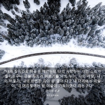 Picture 03 - 아가 5:2 KOR - 