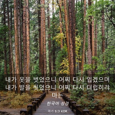 Picture 03 - 아가 5:3 KOR - 내가 옷을 벗었으니 어찌 다시 - Bible Verse Picture