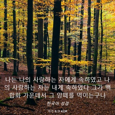 Picture 03 - 아가 6:3 KOR - 나는 나의 사랑하는 자에게 속하였고 - Bible Verse Picture