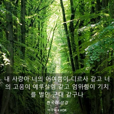 Picture 03 - 아가 6:4 KOR - 내 사랑아 너의 어여쁨이 디르사 - Bible Verse Picture