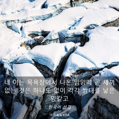 Picture 03 - 아가 6:6 KOR - 네 이는 목욕장에서 나온 암양떼 곧 - Bible Verse Picture