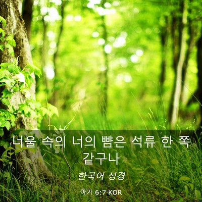 Picture 03 - 아가 6:7 KOR - 너울 속의 너의 뺨은 석류 한 쪽 - Bible Verse Picture