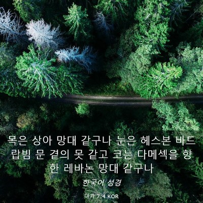 Picture 03 - 아가 7:4 KOR - 목은 상아 망대 같구나 눈은 헤스본 - Bible Verse Picture