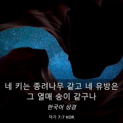 Picture 03 - 아가 7:7 KOR - 네 키는 종려나무 같고 네 유방은 그 - Bible Verse Picture