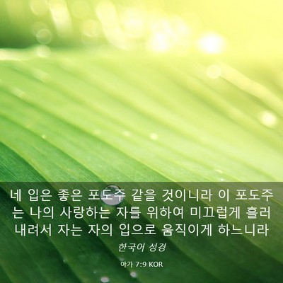 Picture 03 - 아가 7:9 KOR - 네 입은 좋은 포도주 같을 것이니라 - Bible Verse Picture