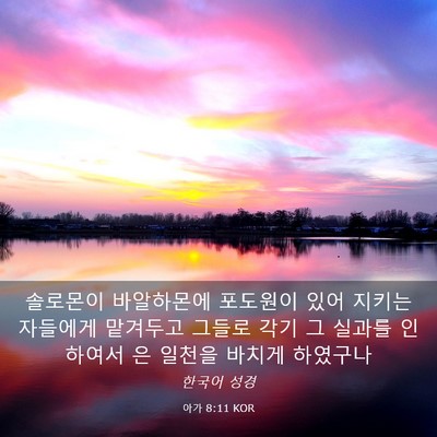 Picture 03 - 아가 8:11 KOR - 솔로몬이 바알하몬에 포도원이 있어 - Bible Verse Picture