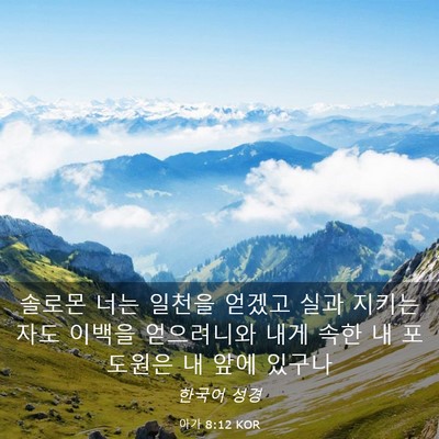 Picture 03 - 아가 8:12 KOR - 솔로몬 너는 일천을 얻겠고 실과 - Bible Verse Picture