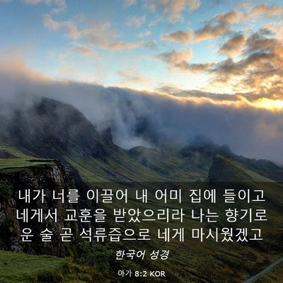 Picture 03 - 아가 8:2 KOR - 내가 너를 이끌어 내 어미 집에 - Bible Verse Picture