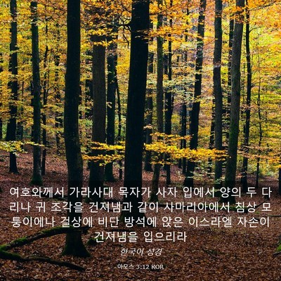 Picture 03 - 아모스 3:12 KOR - 여호와께서 가라사대 목자가 사자 - Bible Verse Picture