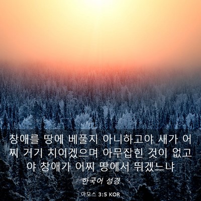 Picture 03 - 아모스 3:5 KOR - 창애를 땅에 베풀지 아니하고야 새가 - Bible Verse Picture