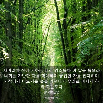 Picture 03 - 아모스 4:1 KOR - 사마리아 산에 거하는 바산 암소들아 - Bible Verse Picture