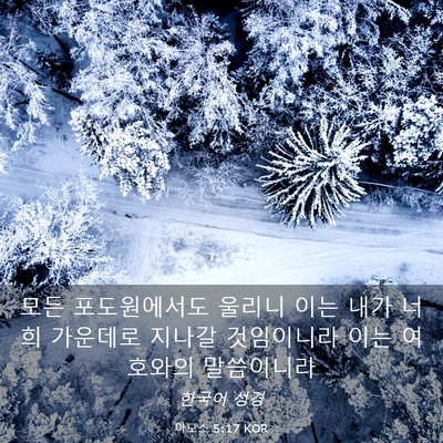 Picture 03 - 아모스 5:17 KOR - 모든 포도원에서도 울리니 이는 내가 - Bible Verse Picture
