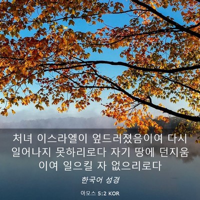 Picture 03 - 아모스 5:2 KOR - 처녀 이스라엘이 엎드러졌음이여 - Bible Verse Picture