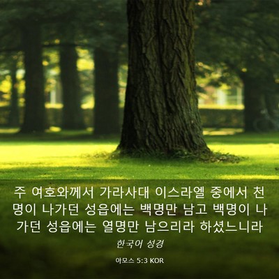Picture 03 - 아모스 5:3 KOR - 주 여호와께서 가라사대 이스라엘 - Bible Verse Picture