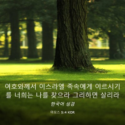 Picture 03 - 아모스 5:4 KOR - 여호와께서 이스라엘 족속에게 - Bible Verse Picture