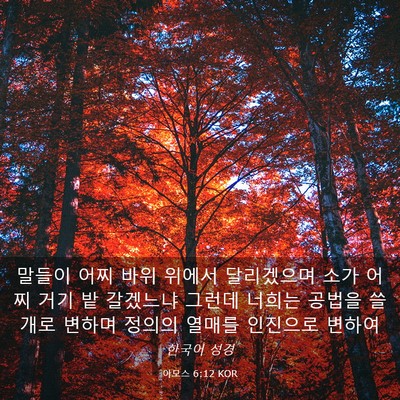 Picture 03 - 아모스 6:12 KOR - 말들이 어찌 바위 위에서 달리겠으며 - Bible Verse Picture