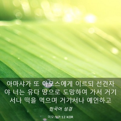 Picture 03 - 아모스 7:12 KOR - 아마샤가 또 아모스에게 이르되 - Bible Verse Picture