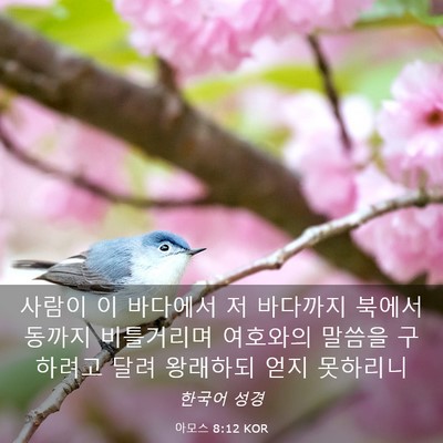 Picture 03 - 아모스 8:12 KOR - 사람이 이 바다에서 저 바다까지 - Bible Verse Picture