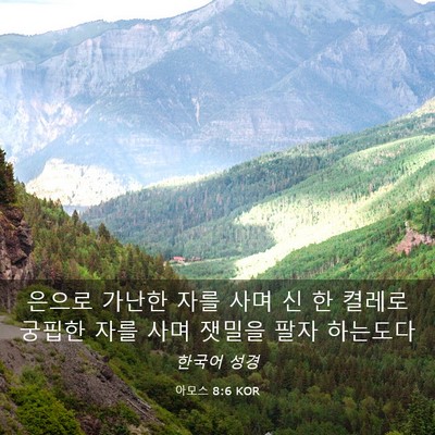 Picture 03 - 아모스 8:6 KOR - 은으로 가난한 자를 사며 신 한 - Bible Verse Picture