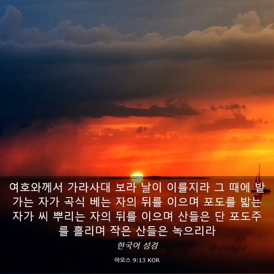 Picture 03 - 아모스 9:13 KOR - 여호와께서 가라사대 보라 날이 - Bible Verse Picture