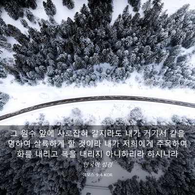 Picture 03 - 아모스 9:4 KOR - 그 원수 앞에 사로잡혀 갈지라도 - Bible Verse Picture
