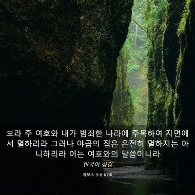 Picture 03 - 아모스 9:8 KOR - 보라 주 여호와 내가 범죄한 나라에 - Bible Verse Picture