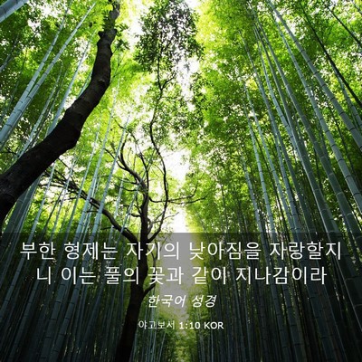 Picture 03 - 야고보서 1:10 KOR - 부한 형제는 자기의 낮아짐을 - Bible Verse Picture