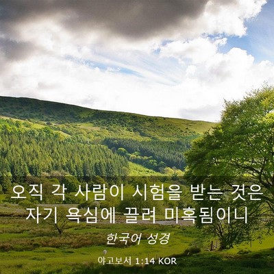 Picture 03 - 야고보서 1:14 KOR - 오직 각 사람이 시험을 받는 것은 - Bible Verse Picture