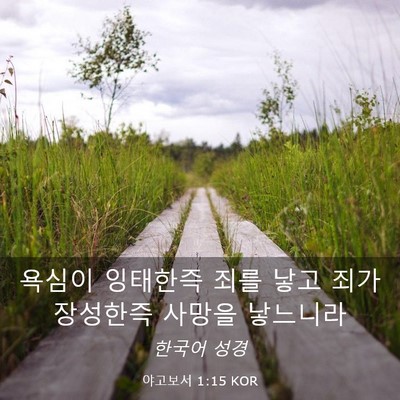 Picture 03 - 야고보서 1:15 KOR - 욕심이 잉태한즉 죄를 낳고 죄가 - Bible Verse Picture