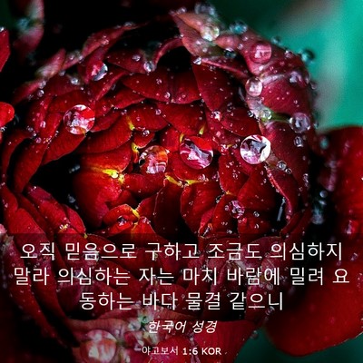 Picture 03 - 야고보서 1:6 KOR - 오직 믿음으로 구하고 조금도 - Bible Verse Picture