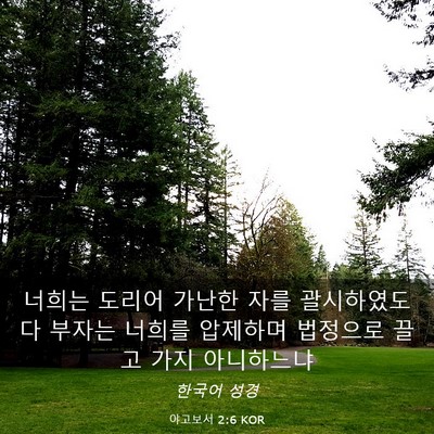 Picture 03 - 야고보서 2:6 KOR - 너희는 도리어 가난한 자를 - Bible Verse Picture