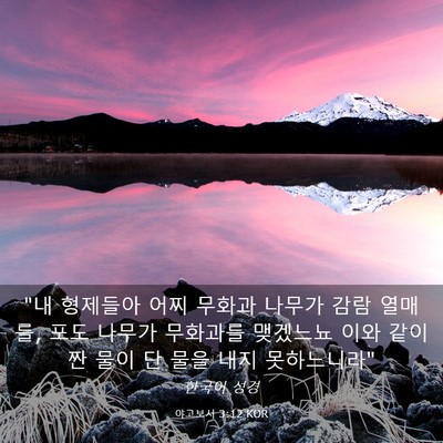 Picture 03 - 야고보서 3:12 KOR - 