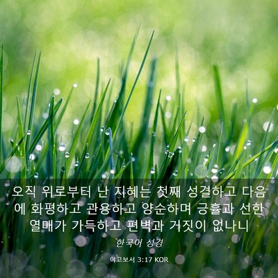Picture 03 - 야고보서 3:17 KOR - 오직 위로부터 난 지혜는 첫째 - Bible Verse Picture
