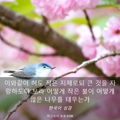 Picture 03 - 야고보서 3:5 KOR - 이와같이 혀도 작은 지체로되 큰 - Bible Verse Picture