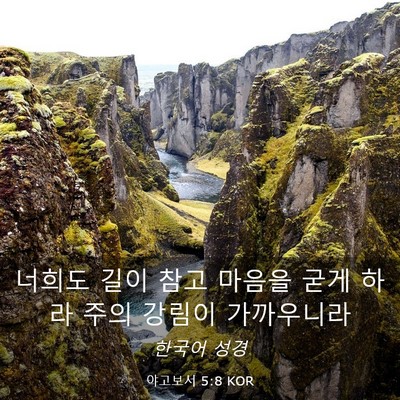 Picture 03 - 야고보서 5:8 KOR - 너희도 길이 참고 마음을 굳게 하라 - Bible Verse Picture