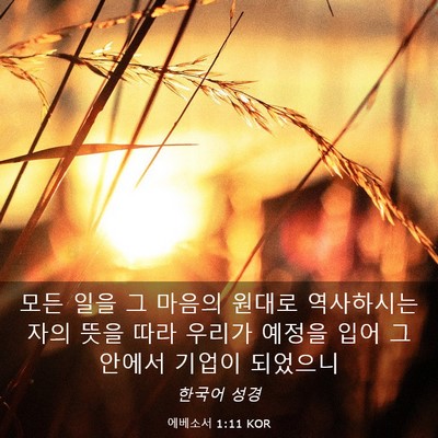 Picture 03 - 에베소서 1:11 KOR - 모든 일을 그 마음의 원대로 - Bible Verse Picture