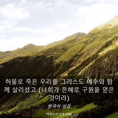 Picture 03 - 에베소서 2:5 KOR - 허물로 죽은 우리를 그리스도 예수와 - Bible Verse Picture