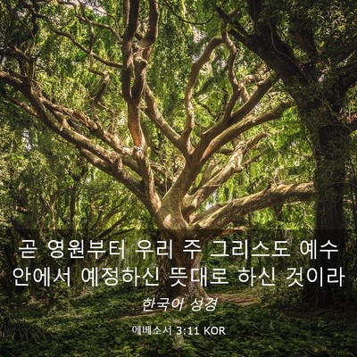 Picture 03 - 에베소서 3:11 KOR - 곧 영원부터 우리 주 그리스도 예수 - Bible Verse Picture