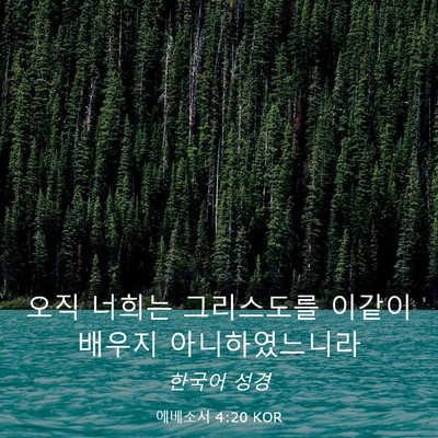 Picture 03 - 에베소서 4:20 KOR - 오직 너희는 그리스도를 이같이 - Bible Verse Picture