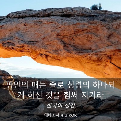 Picture 03 - 에베소서 4:3 KOR - 평안의 매는 줄로 성령의 하나되게 - Bible Verse Picture