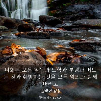 Picture 03 - 에베소서 4:31 KOR - 너희는 모든 악독과 노함과 분냄과 - Bible Verse Picture