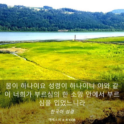 Picture 03 - 에베소서 4:4 KOR - 몸이 하나이요 성령이 하나이니 이와 - Bible Verse Picture