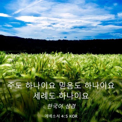 Picture 03 - 에베소서 4:5 KOR - 주도 하나이요 믿음도 하나이요 - Bible Verse Picture