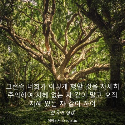 Picture 03 - 에베소서 5:15 KOR - 그런즉 너희가 어떻게 행할 것을 - Bible Verse Picture